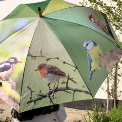 Paraply - m. fuglemotiv