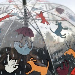 Gennemsigtig paraply - med hunde og katte -