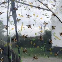 Paraply transparent - bi motiver