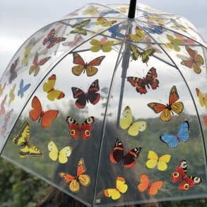 Paraply transparent - sommerfugle motiver
