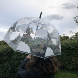 Paraply transparent - fugle motiver