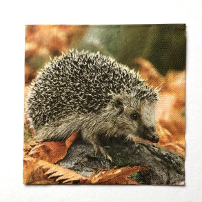 Serviet - pindsvin - 20 stk