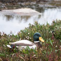 Andrik - Grand - hndskret trfigur