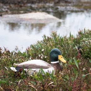 Andrik - Grand - hndskret trfigur