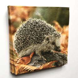 Serviet - pindsvin - 20 stk