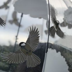 Paraply transparent - fugle motiver