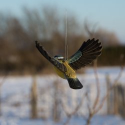 Blmejse - flyvende - hndskret trfigur