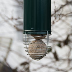 Foderautomat til mejsebolde