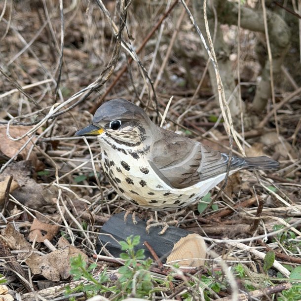 Sangdrossel - h�ndsk�ret tr�figur