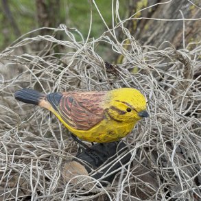 Gulspurv - h�ndsk�ret tr�figur