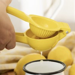 Citronpresser - citrongul