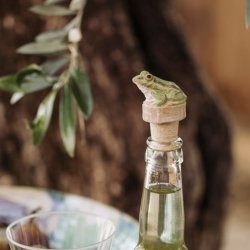 Flaskeprop m. fr - hndskret i tr