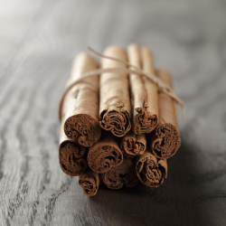 Kanel stnger - gte kanel - kologiske