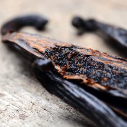 Vanilje stnger - 10 gram - kologiske