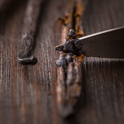 Vanilje stnger - 10 gram - kologiske