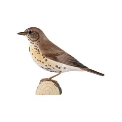 Sangdrossel - h�ndsk�ret tr�figur