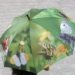 Paraply - m. sommerfugle