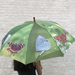Paraply - m. sommerfugle