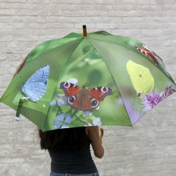 Paraply - m. sommerfugle
