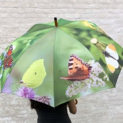 Paraply - m. sommerfugle