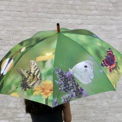 Paraply - m. sommerfugle