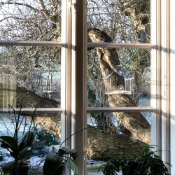 Foderbrt i plexiglas 