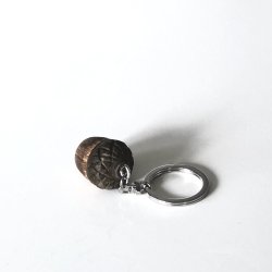 Kopi af Nglering - agern