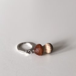  Nglering - Karl Johan