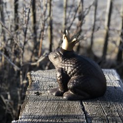 Skulptur - stor tudse med krone