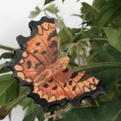 Sommerfugl med magnet - komma