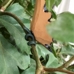 Sommerfugl med magnet - komma