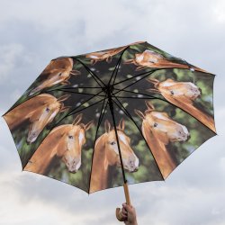 Paraply - heste motiver