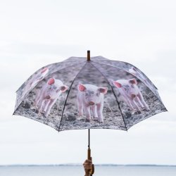 Paraply - grise motiver