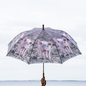 Paraply - grise motiver