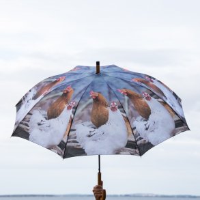 Paraply - hnse motiver