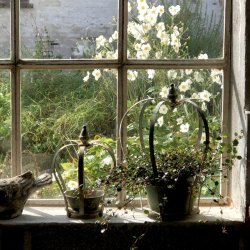 Potteskjuler - krone - stor