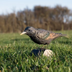 Str - hndskret trfigur