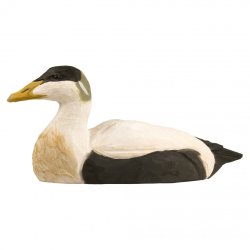 Ederfugl - hndskret trfigur