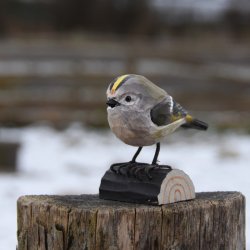 Fuglekonge - h�ndsk�ret tr�figur