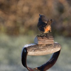 Grdesmutte - hndskret trfigur