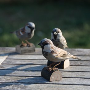 Grspurv - hndskret trfigur