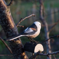 Halemejse - hndskret trfigur
