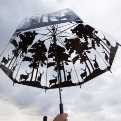 Paraply transparent - kronvildt