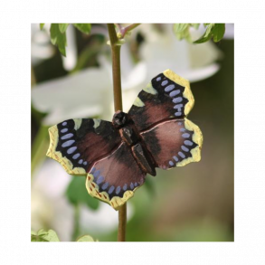 Sommerfugl med magnet - srgekbe