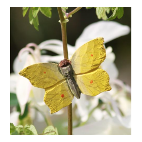Sommerfugl med magnet - citronsommerfugl