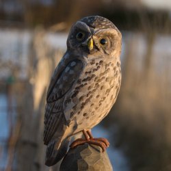 Ugle - hndskret trfigur